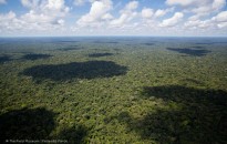 La mayoría de las veces es necesario llegar en helicóptero al lugar donde el grupo de investigadores va a realizar el inventario rápido.